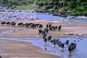 肯雅載外國遊客小飛機墜毀 11人遇難