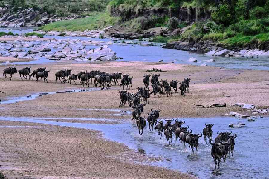 肯雅載外國遊客小飛機墜毀 11人遇難
