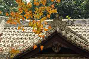 書生行為不端耗福運 不聽勸悔之晚矣