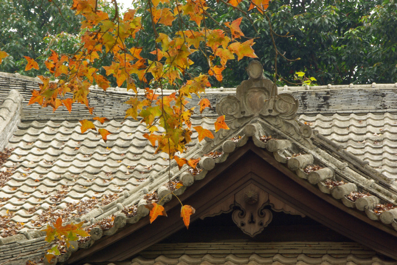 書生行為不端耗福運 不聽勸悔之晚矣