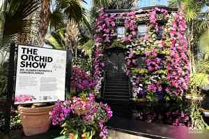 【圖輯】紐約植物園年度蘭花展 獻給紐約的情書