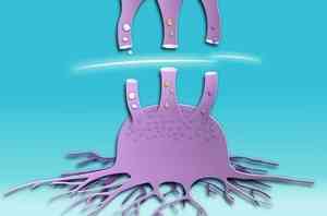 癌細胞代謝新視角：多靶向治療或成未來方向