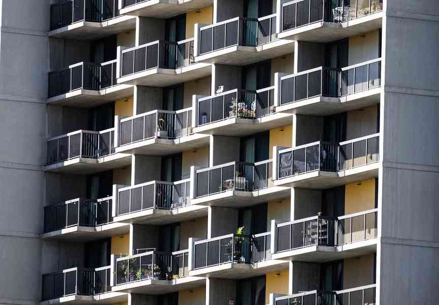 洛杉磯取代芝加哥 成為「全美鼠患最嚴重城市」