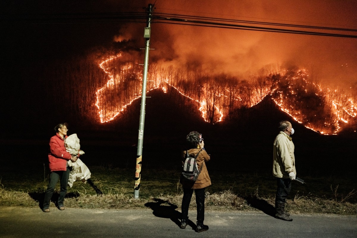 2025年3月24日,南韓義城,居民在街燈下注視遠方蔓延的山火。(YASUYOSHI CHIBA/AFP)