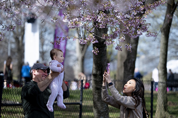 2023年3月21日，美國華盛頓特區潮汐湖（Tidal Basin），民眾將嬰兒高高舉起，與櫻花合照。（Jim Watson/AFP）