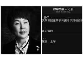 陝西知名地產商孫茵去世 網傳跳樓身亡