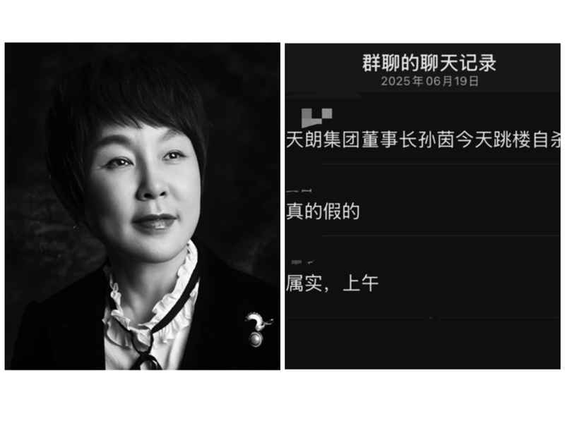 陝西知名地產商孫茵去世 網傳跳樓身亡