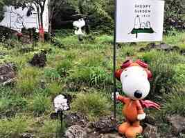 濟州島超療癒景點︰史努比庭園與海洋水族館