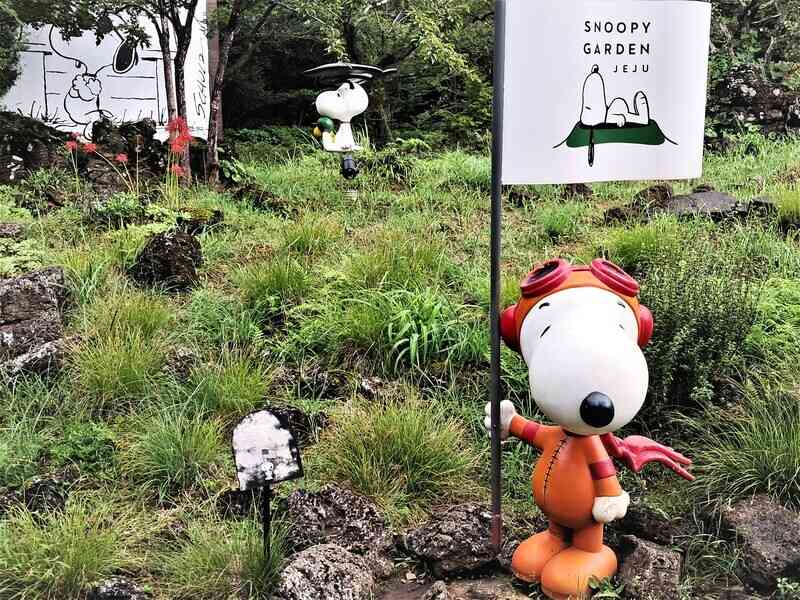 濟州島超療癒景點︰史努比庭園與海洋水族館