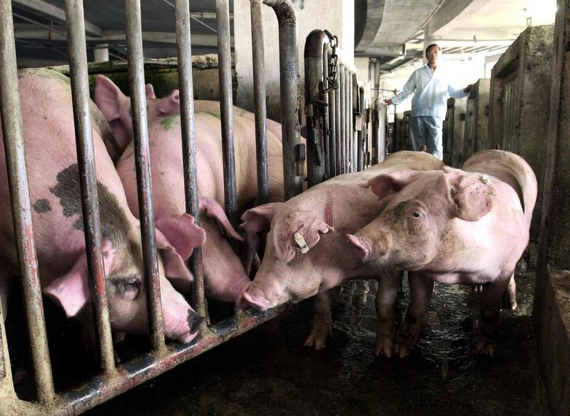 陸豬肉儲備不足10萬噸 兩三個月恐見底