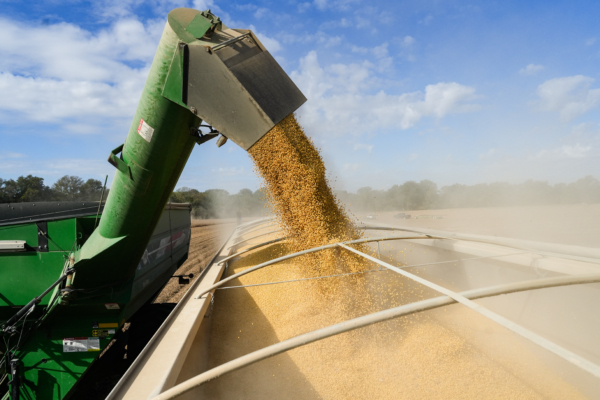 習特會後 中方開始購買美國農產品