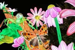 【圖輯】法國植物園舉行「微小世界」燈節