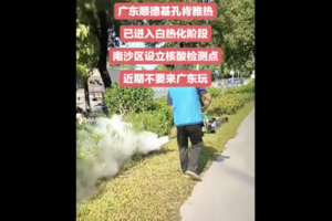 廣東封菜地防基孔肯雅熱 極端防疫被批荒唐