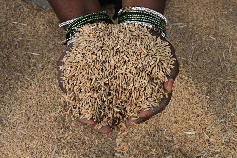 分析：全球糧價飆升 下個漲價會是大米？