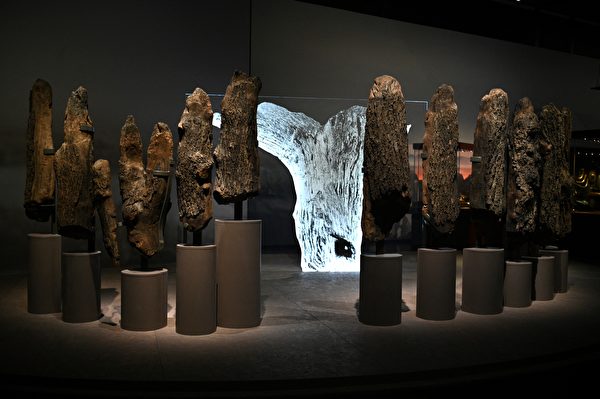 2022年2月14日，英國倫敦，大英博物館（The British Museum）將舉行「巨石陣世界」（The World of Stonehenge）展覽。圖為一組「水下巨石陣」（Seahenge），發現於英國的諾福克（Norfolk），這組文物約可追溯至公元前2,000年。（Daniel Leal/AFP）