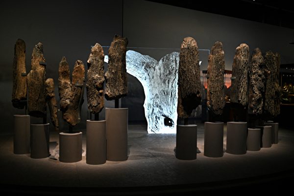 2022年2月14日,英國倫敦,大英博物館(The British Museum)將舉行「巨石陣世界」(The World of Stonehenge)展覽。圖為一組「水下巨石陣」(Seahenge),發現於英國的諾福克(Norfolk),這組文物約可追溯至公元前2,000年。(Daniel Leal/AFP)