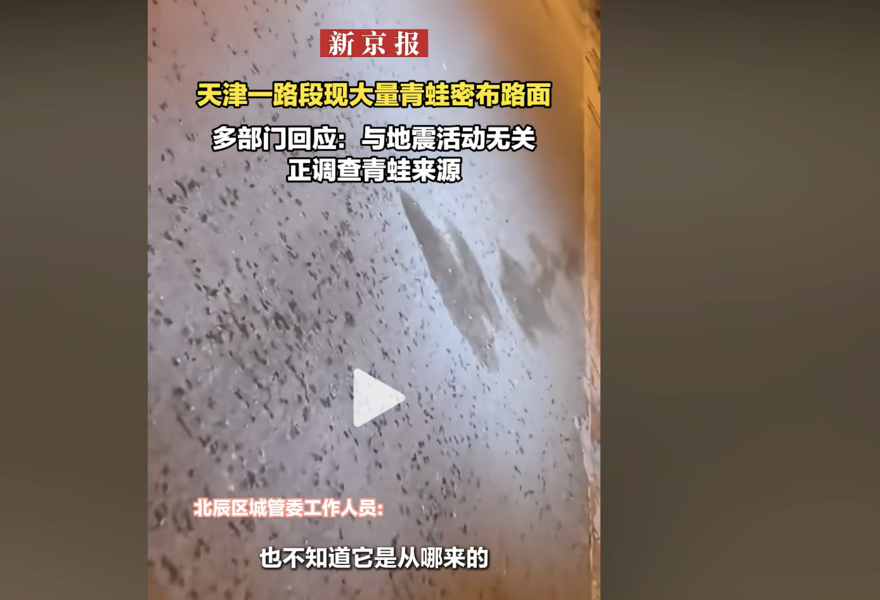 天津一地遍布青蛙 現場拍攝市民：看著害怕