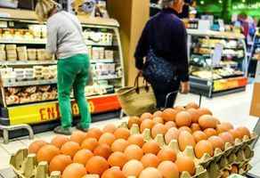 禽流感和烏克蘭戰爭推高全球雞蛋價格