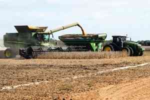 美2026年將增加種植大豆並減少種植玉米