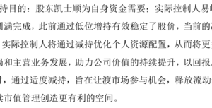 大陸軟件公司同花順大股東減持 引不滿