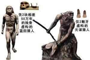 進化騙局(10) 兩「猿人」淡出課本