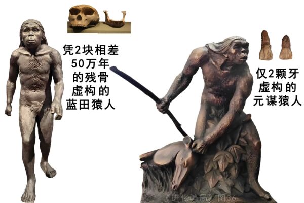 進化騙局（10） 兩「猿人」淡出課本