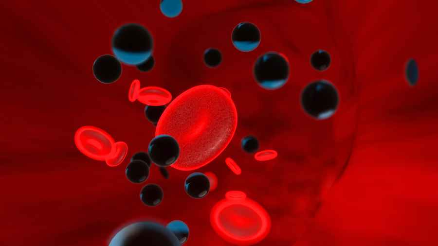 人類血液中首次發現微塑膠 多來自日用品