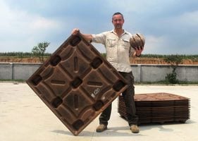 前荷蘭軍人用椰子殼造托盤 每年拯救數百萬棵樹