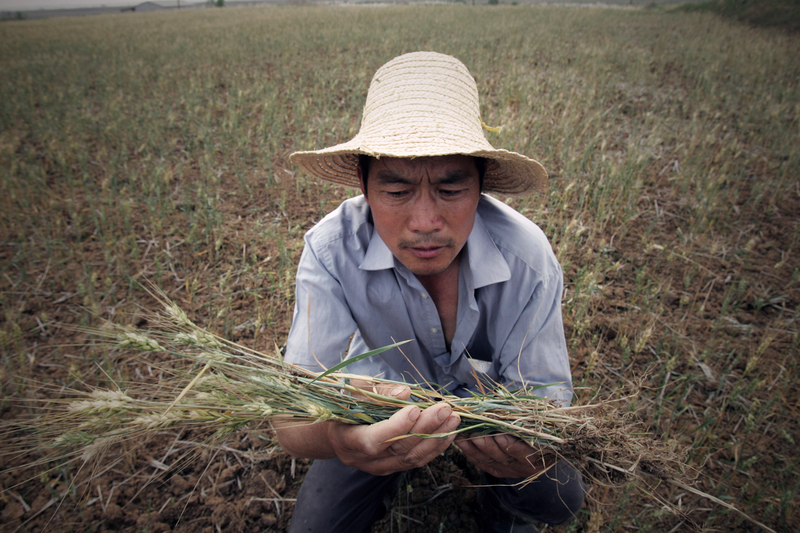 習提糧食危機 學者：中美經濟脫鉤後買糧將成問題