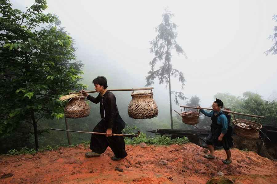 復旦大學教授提倡年輕人啃老 被批轉移社會矛盾