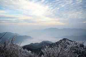 金山風雲之頂天立地(11)事實真相