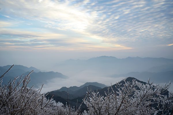 金山風雲之頂天立地（11）事實真相