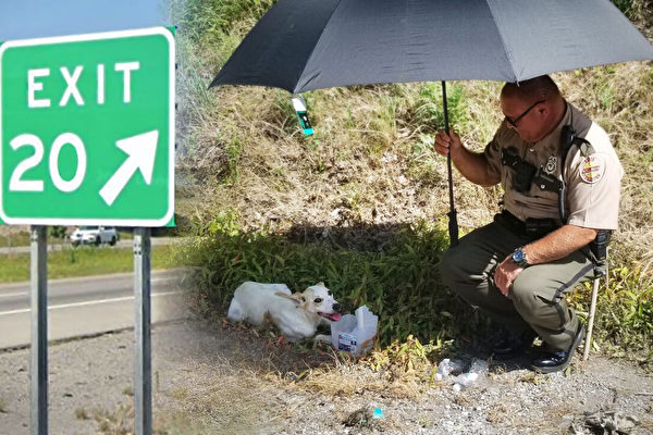 警察圖德斯給受傷嚴重的小狗餵水、遮陽，拯救生命。（凱·菲奧雷羅提供）