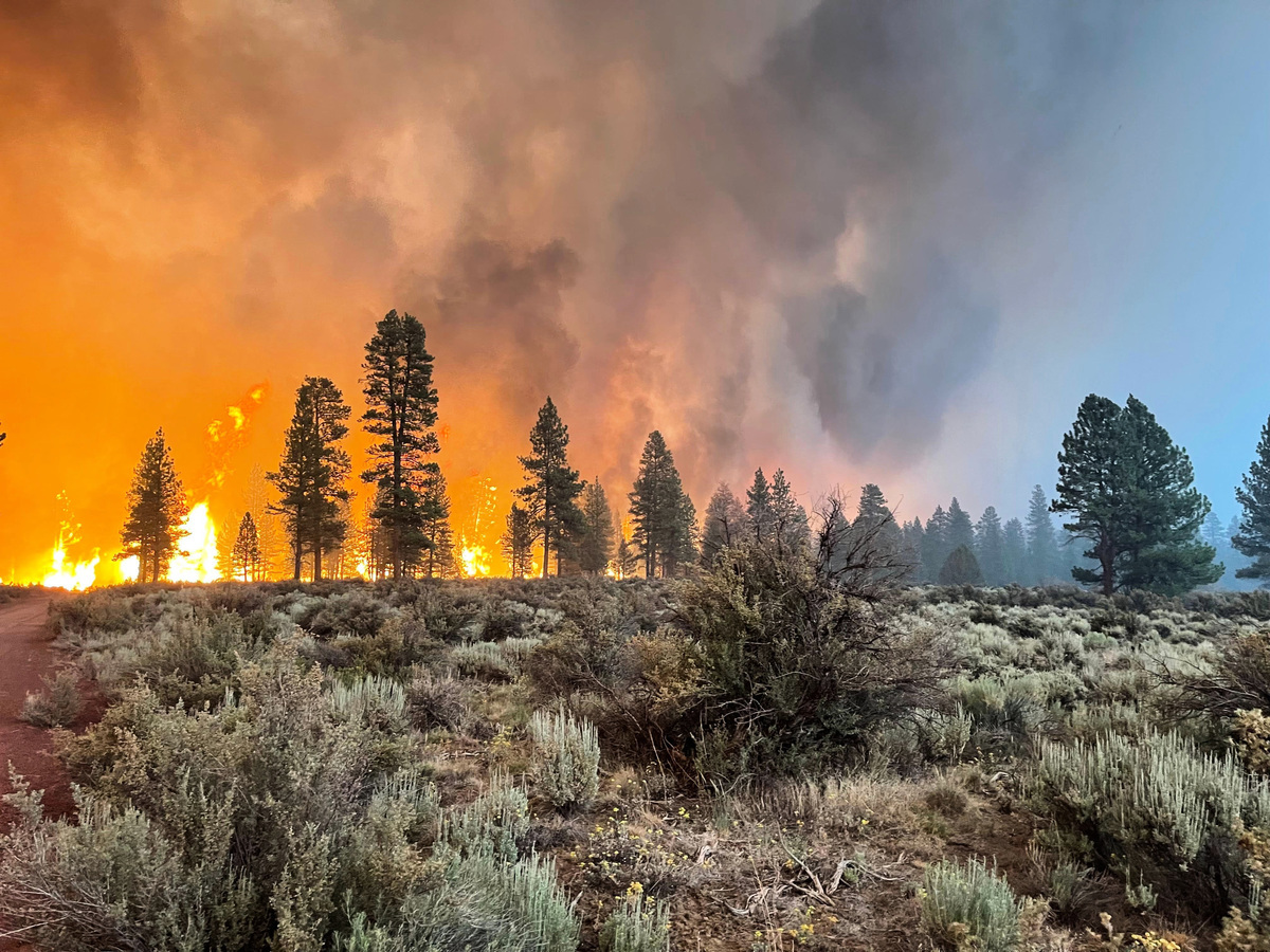 「靴筒大火」（Bootleg Fire）是美國西部因創紀錄的氣溫和乾旱而燃燒的幾十場大火中最大的一場。 （USDA Forest Service via Getty Images）