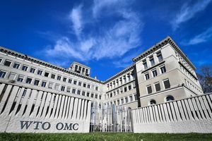 在WTO申訴中國市場經濟地位 北京撤訴
