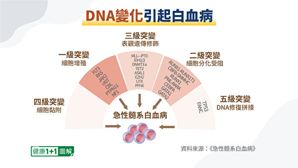 DNA變化引起白血病。（健康1+1／大紀元）