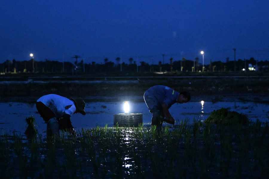 米價升至12年來新高 或致亞洲食品通脹再起