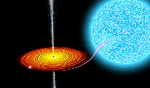 黑洞從附近恆星吸收物質並形成吸積盤的示意圖。（ShutterStock）