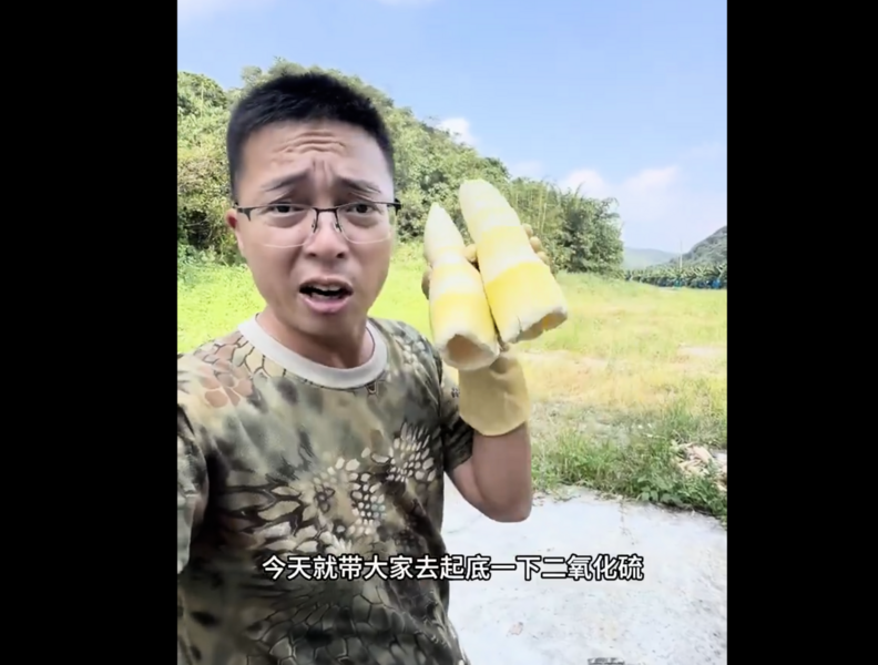 廣東商家用硫磺燻製麻竹筍 黑幕曝光（影片）
