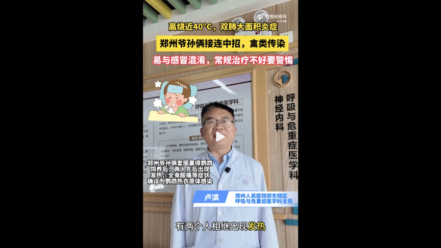 鄭州多人接觸禽類感染「鸚鵡熱」 登熱搜