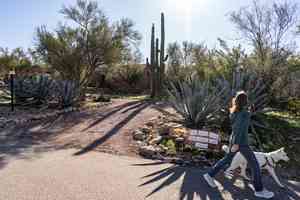 特朗普就美媒NBC女主播母親失蹤事件作出回應