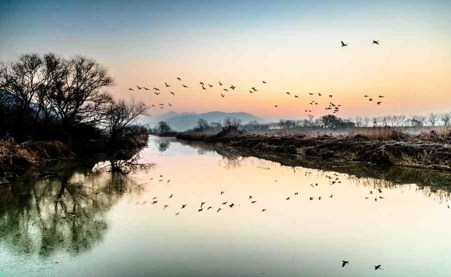 從故事學典故：王奇雁字 韓浦鸞箋