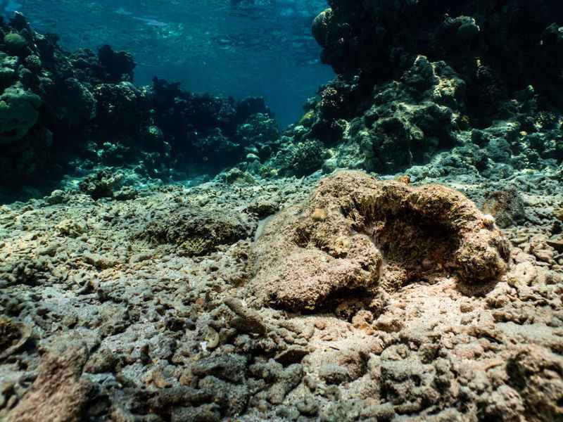 深海發現「地球電池」可電解海水產生氧氣