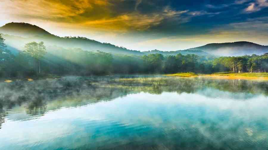 水清無魚 人察無徒：寬容才有生命力