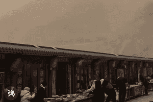 中國北方暴雪大風齊襲 多地黃沙蔽日景區關閉