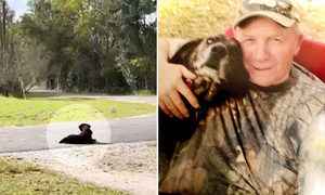 狗狗在車道等待已故主人7年 溫馨感人