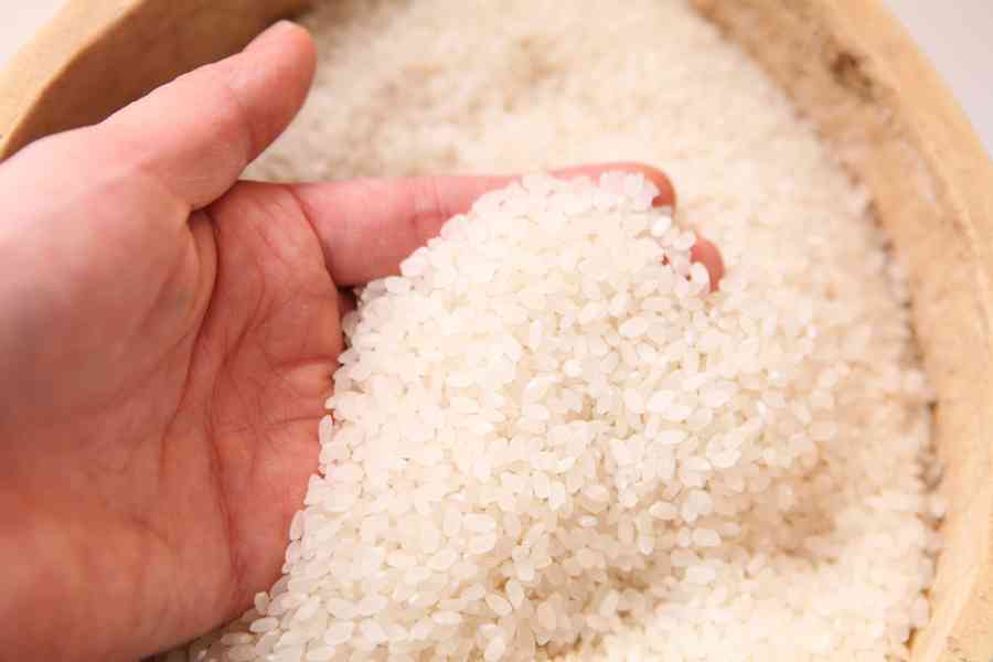 全球最貴「金芽米」獲健力士認證 日商虧本生產只為「精益求精」