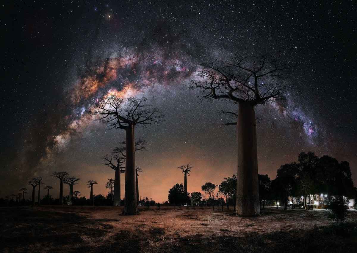 《猴麵包樹下的夜晚》，地點：馬達加斯加猴麵包樹大道。（Steffi Lieberman via Capture the Atlas提供）