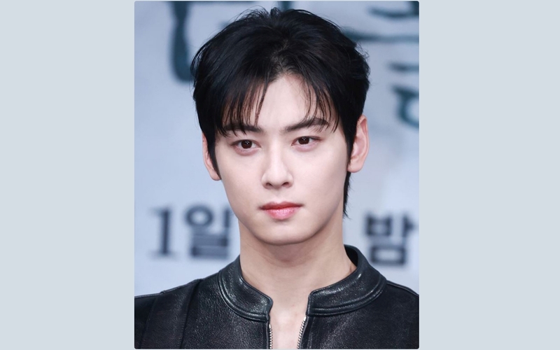 車銀優涉母親公司稅務爭議 經理人公司回應