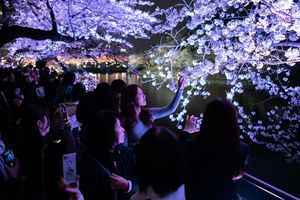 【圖輯】東京櫻花終於盛開 賞櫻勝地人潮如織